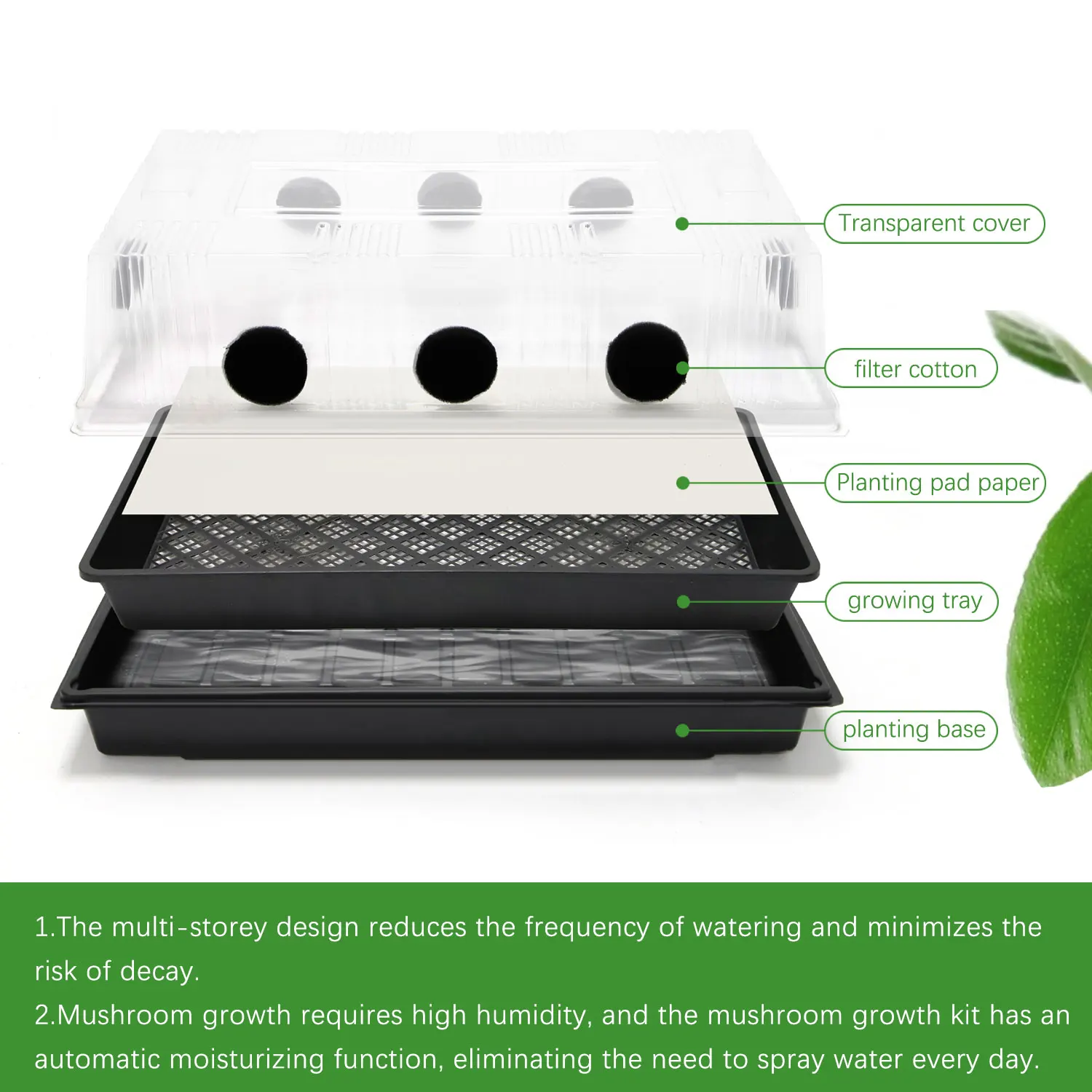 Complete Mushroom Grow Kit Box for Dung Loving Mushrooms with Filter Cotton for Plugging Holes , Seedling Planting Pad Paper
