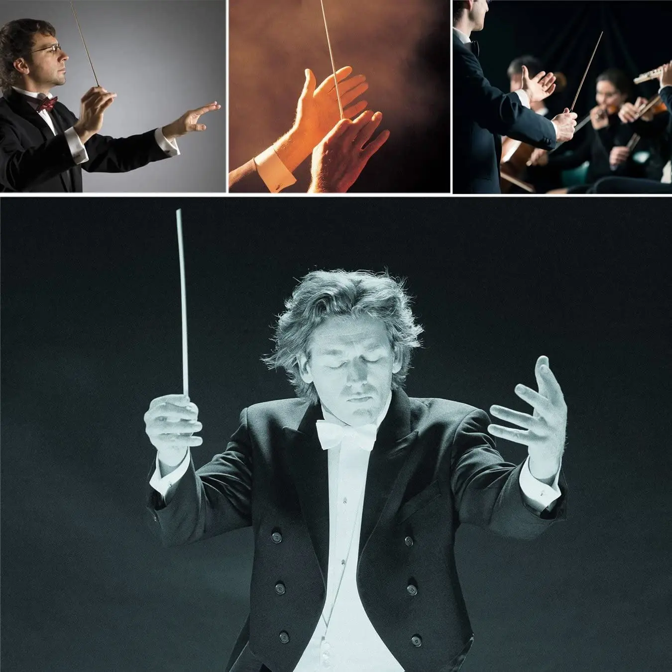 Music Conductor Baton Wood Handle Orchestra Concert Music Conducting Batons Music Baton For