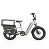 Light Grey cargo ebike