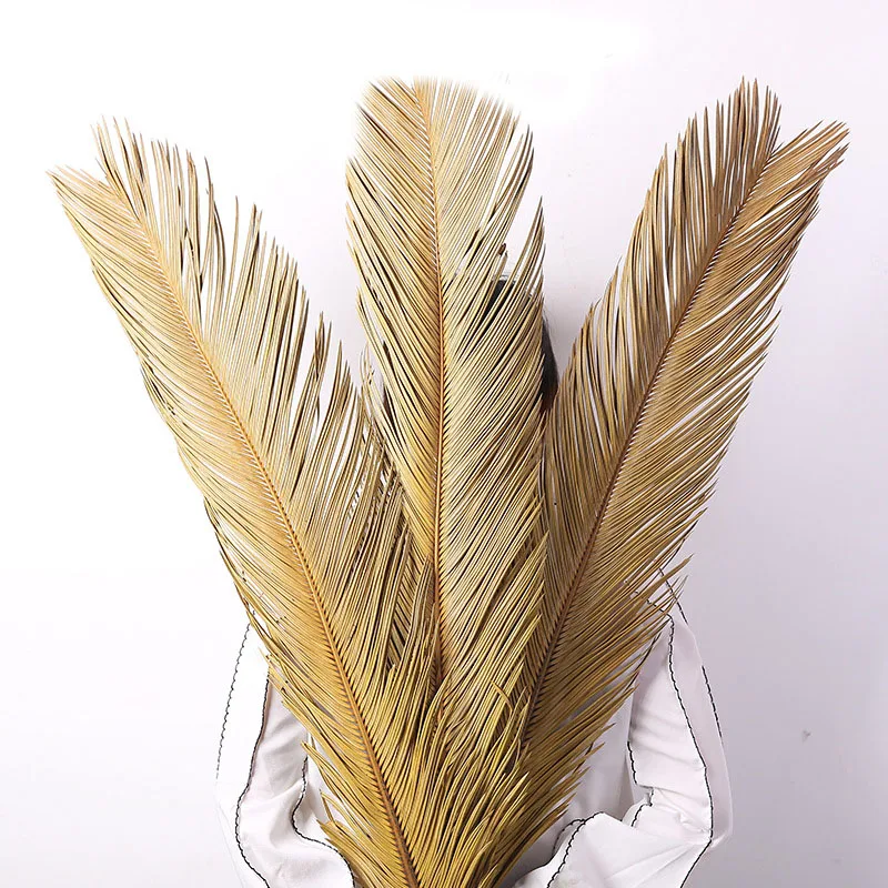 2021热销人工天然加工干棕榈叶干扇叶婚庆花 - buy dried palm leaves