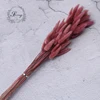 dark vermilion