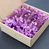 Aliento de bebé morado - 50 unidades en caja