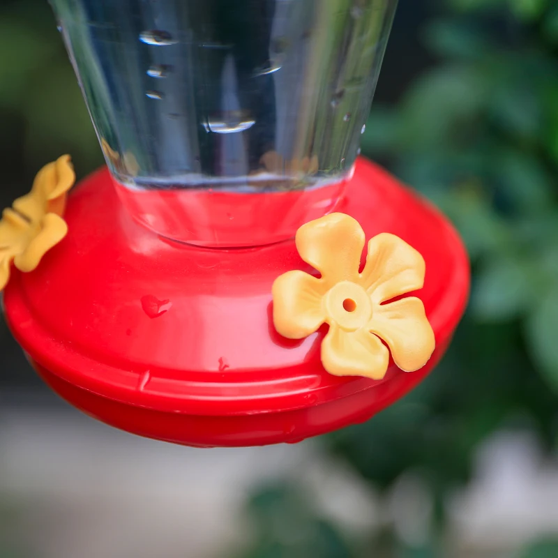 Hummingbird Outside Feeds Bottle Factory Wholesale Bulk Hummingbird