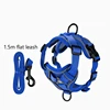 Conjunto de correa azul