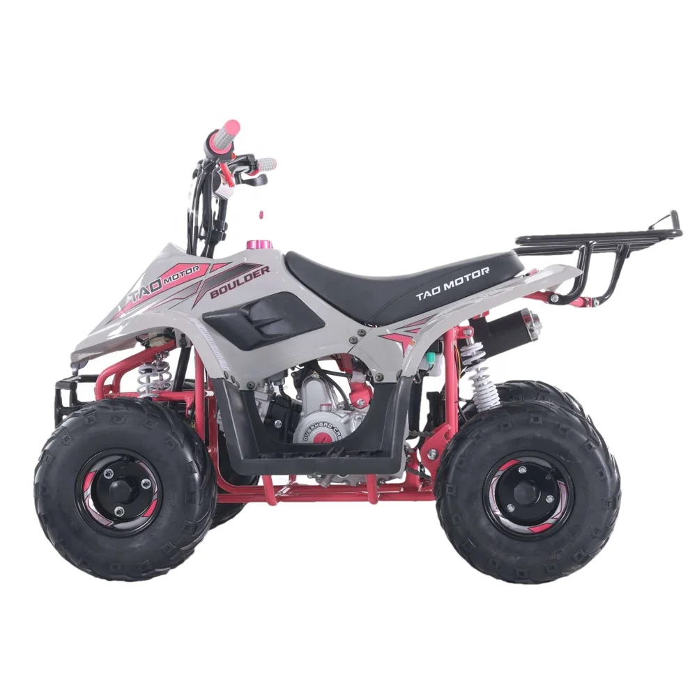 Tao Motor Gasoline Automatic Chain Drive Quad ATV 110cc with Reverse Gear