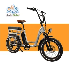 RAIDEREBIKES NEW utility UL2271 battery  500w 750w 1000w ebike electric cargo bike for family use electric bicycle