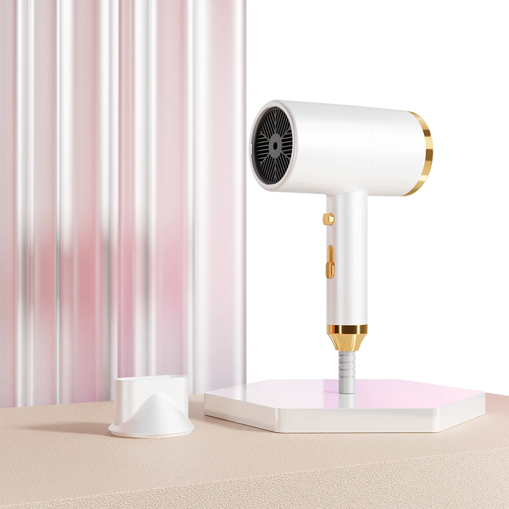 5 in 1 Hand Rechargeable Salon Professional Ionic Hair Dryer for  Brush for Household & Hotel Use