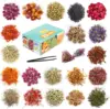 dried flowers