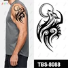 TBS8088