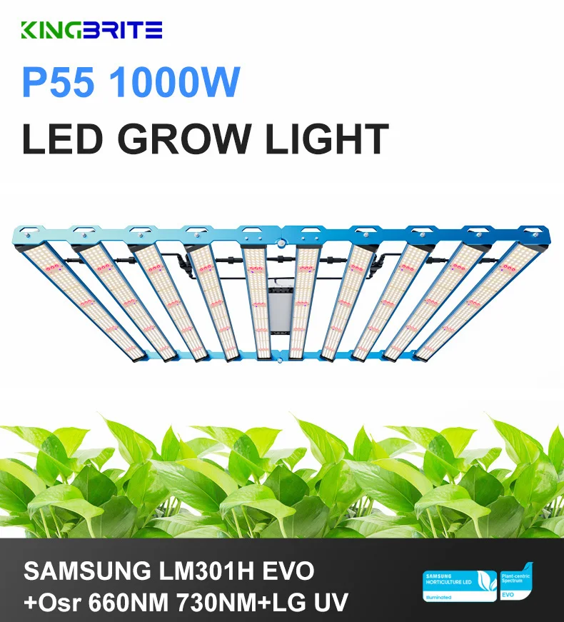 Kingbrite 1000W LM301H EVO LED Grow Lights - Efficient & Durable