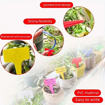 White and Multicolored Plastic Labels Waterproof T Shape Marker Nursery Pot Garden Decorative Flower Succulents Plant Tag Label