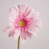 03-Pink