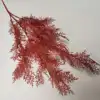สีแดง