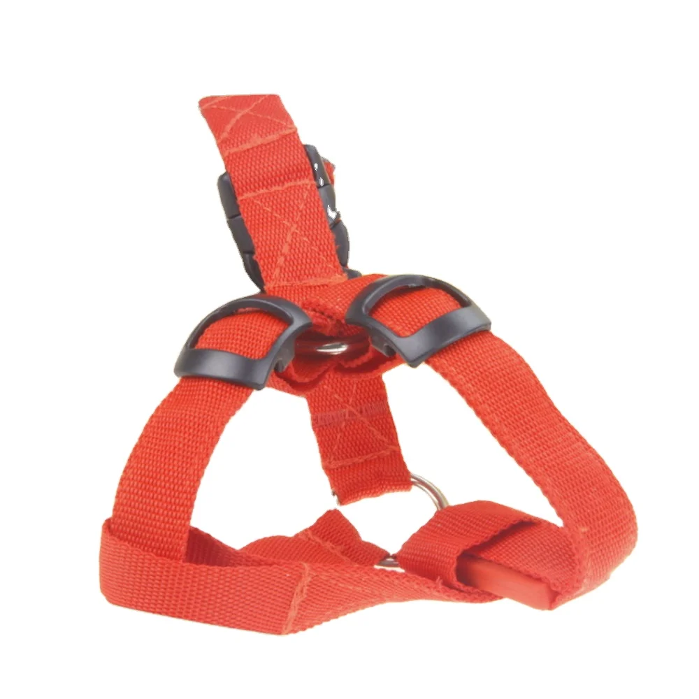 the flash dog harness