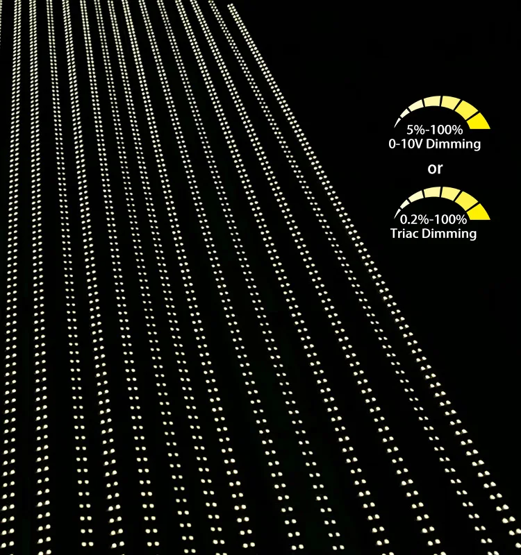 Антикоррозийное освещение IP66 для птицы, лампа для курицы