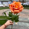 สีส้ม