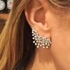 E3854 Platinum color