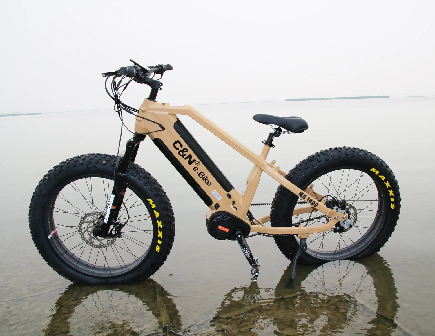 Rohloff 14 Speed Internal Gear Hub Belt Drive Dual Batteries 1000w Bafang Ebike 48v Electric Bicycle Electric Bike Made in China
