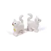 gato blanco 1