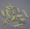 12Pcs small size grow in the dark F