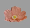 rose1 capitule 60cm