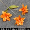 Orange Trident Lily Branch