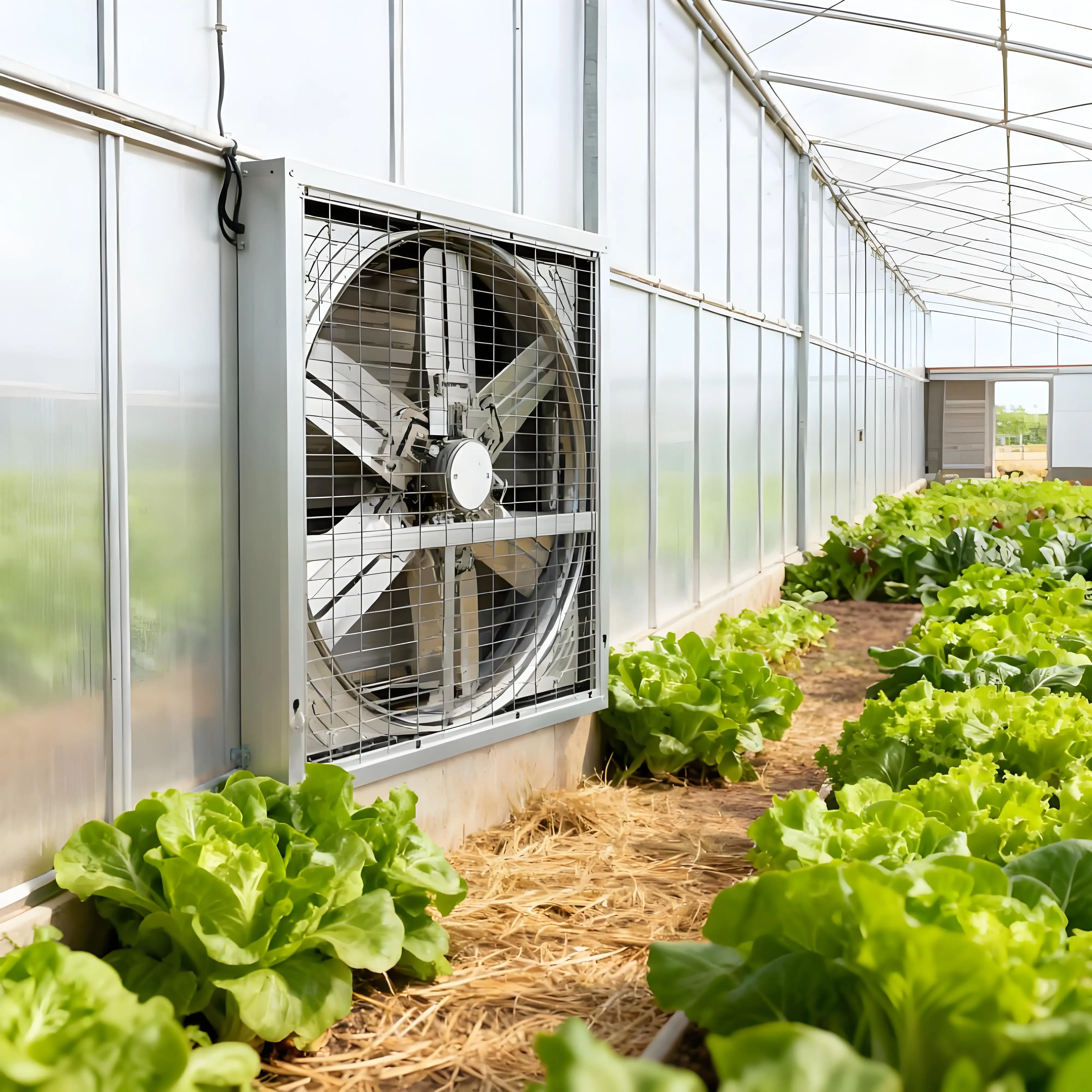 Axial Flow Exhaust Fan, 50inch/56inch, 50Hz, 220v/380v - detail 4