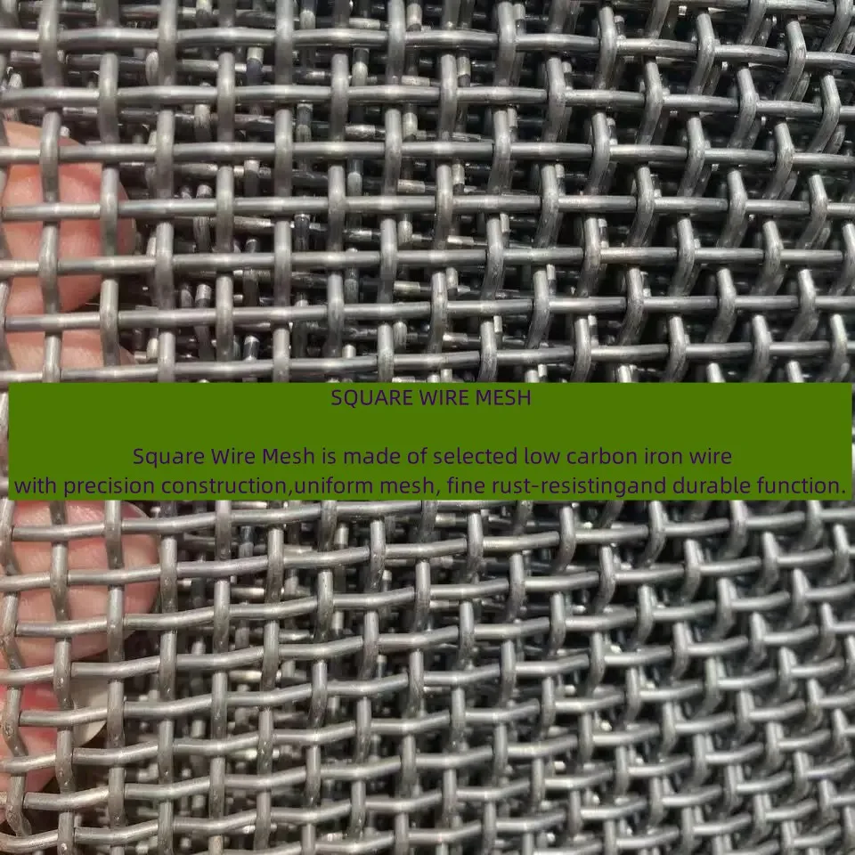 Superior Quality Galvanized Screen 16x16 Square Wire Mesh For