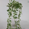 Variegated green