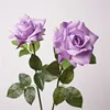 สีม่วง