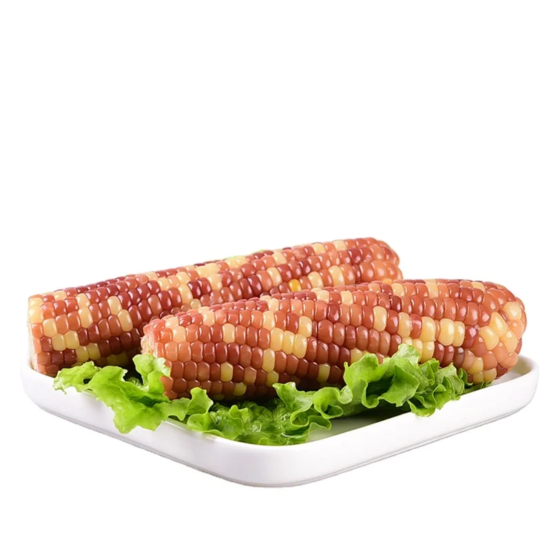 Boiled Ready to Eat Corn Maize Waxy Corn