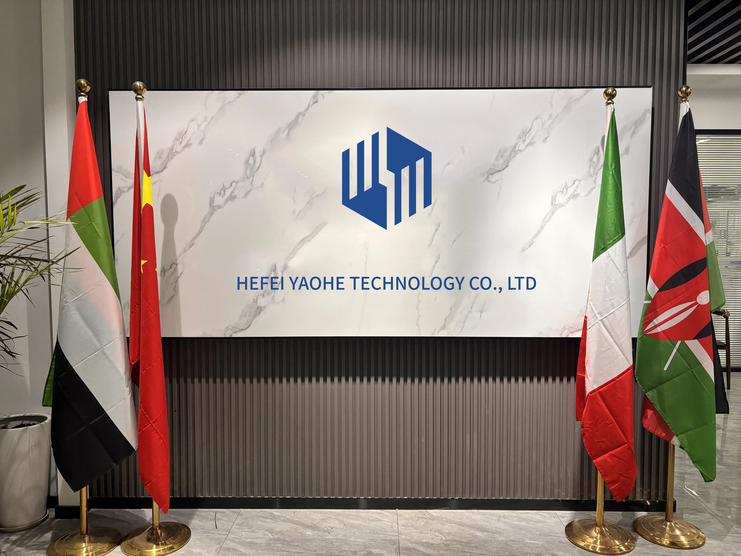 Hefei Yaohe Technology Co., Ltd. 1