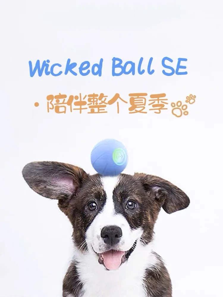 Cheerble Wicked Ball Smart Pet Toy Automatic Dog Ball Chew Toy Electric