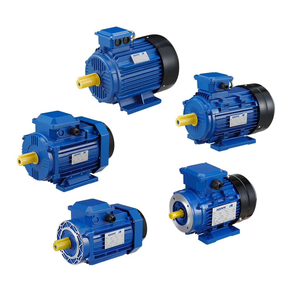 Single Phase Capacitor Run Asynchronous Motor