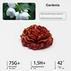 gardenia