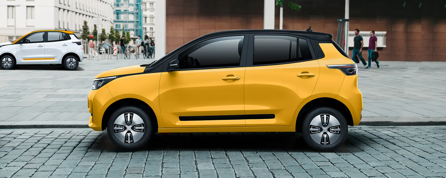 2022 Redding Mango New Car Electric New Hot Selling High Quality New