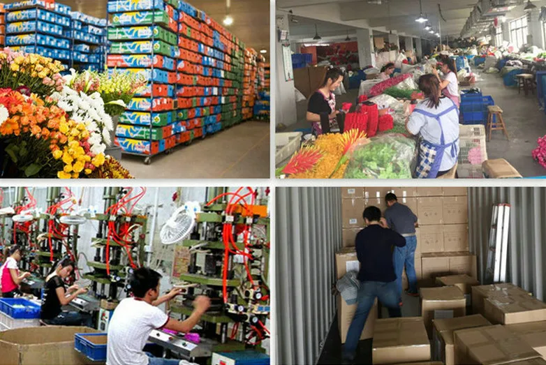 Qingdao Kewei Crafts Co., Ltd. 2