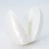 Silk white shell-breaking dragon 10cm egg