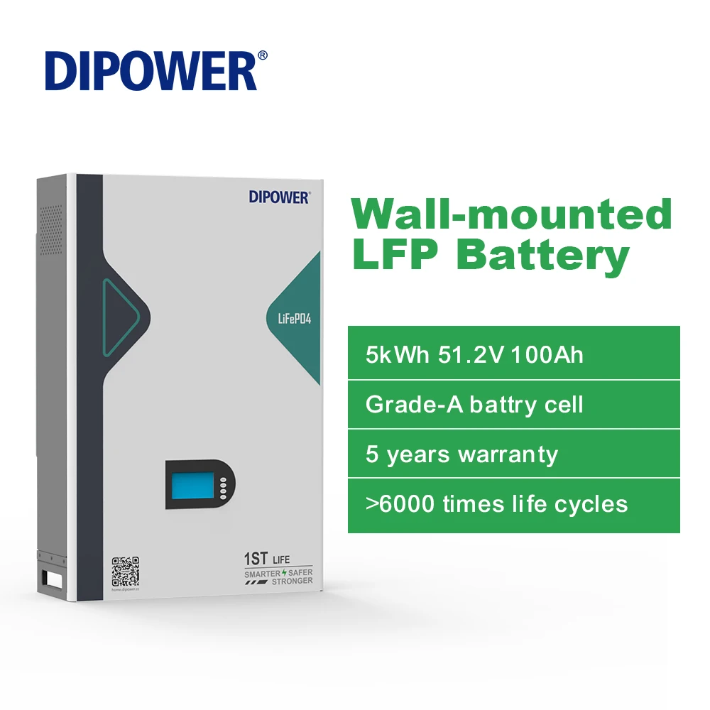 100Ah LFP Cells Battery Lifepo4 Lithium Energy Storage Pack 51.2V for Solar Use