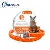 Orange Cat