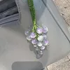 One 10cm color-changing grape pendant material kit