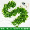 99 leaves of grape leaves, 5 pieces