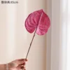 New pink palm