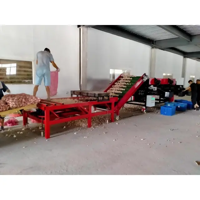 Factory Price Robust 11900mm Automated Fruit and Vegetable Sorting Machine for Vegetable Processing Lines