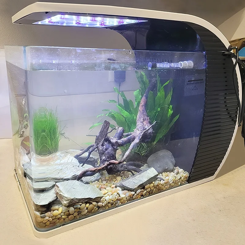 卸売ハイガー5ガロン19L水族館水槽LEDライト付きフィルター水族館