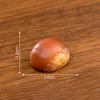 11#Chestnut 2