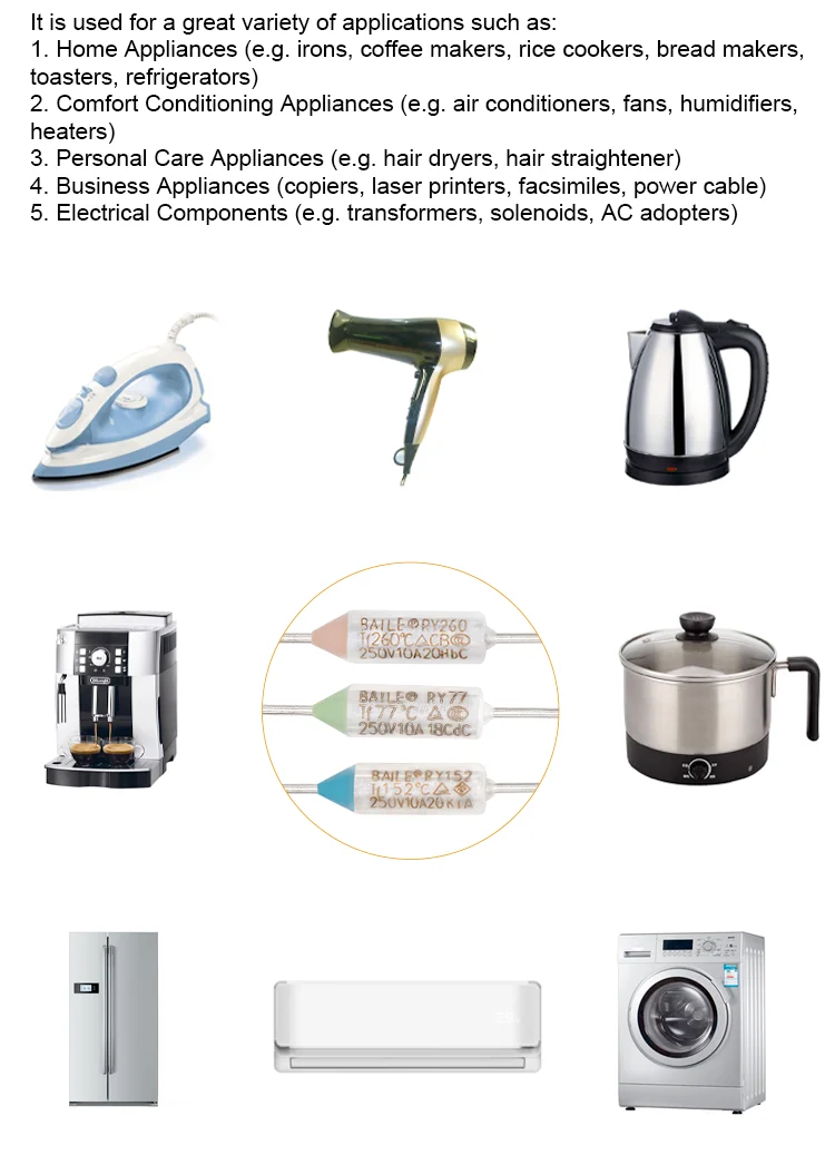 20a 125v 25a 250v G5 G8 Rye Axial Lead Coffee Maker Thermal Fuse For