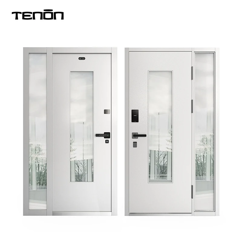 Custom Design Modern Home Front Entrance Main Door Glass Surface Multi-Functions Exterior Security Doors