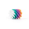 2.5CM Circular Rainbow No. 1 Whirl Instrument