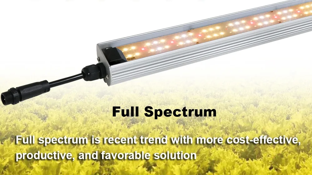 Yxo Vertical Farm Equipment System Hydroponic Full Spectrum Led Grow